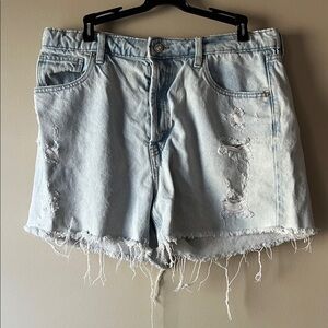 Wild Fable Frayed Light Blue Jean Shorts